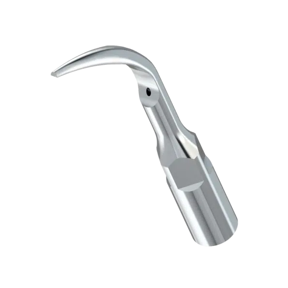 ansa detartraj supragingival G1